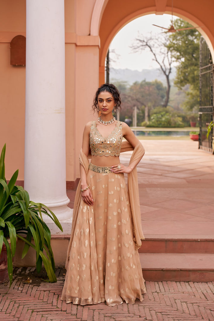 Beige Banarasi Lehenga Set