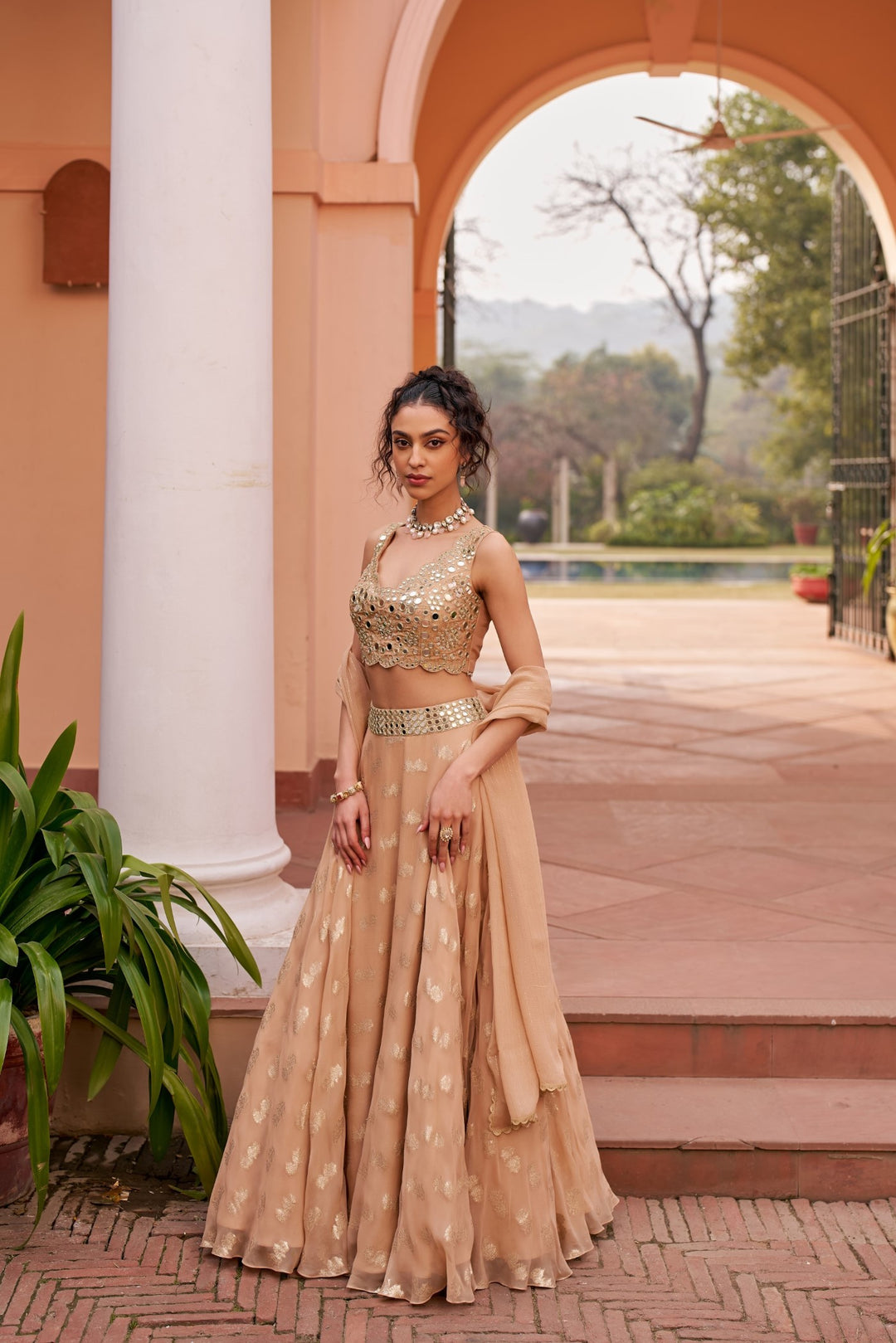 Beige Banarasi Lehenga Set