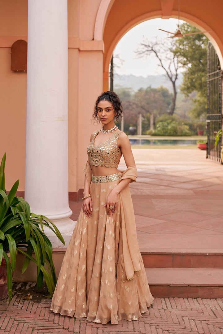 Beige Banarasi Lehenga Set