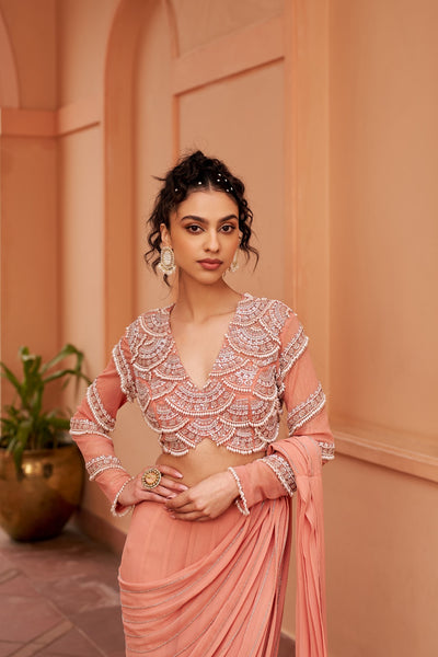 Peach Saree With Embroidered Blouse