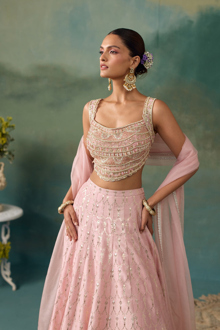 Blush Pink Lehenga Set
