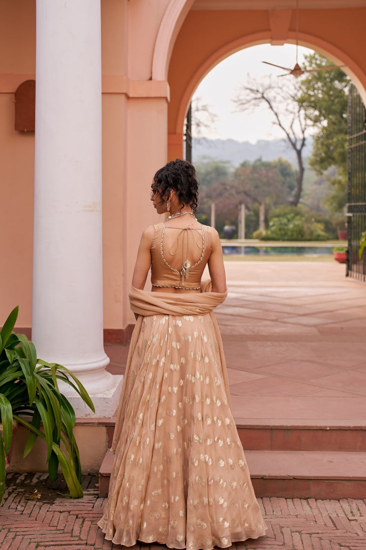 Beige Banarasi Lehenga Set