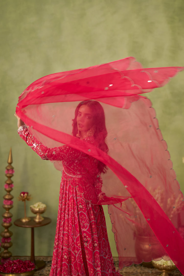 Rani Pink Anarkali Set