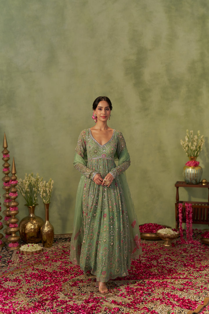Pista Anarkali