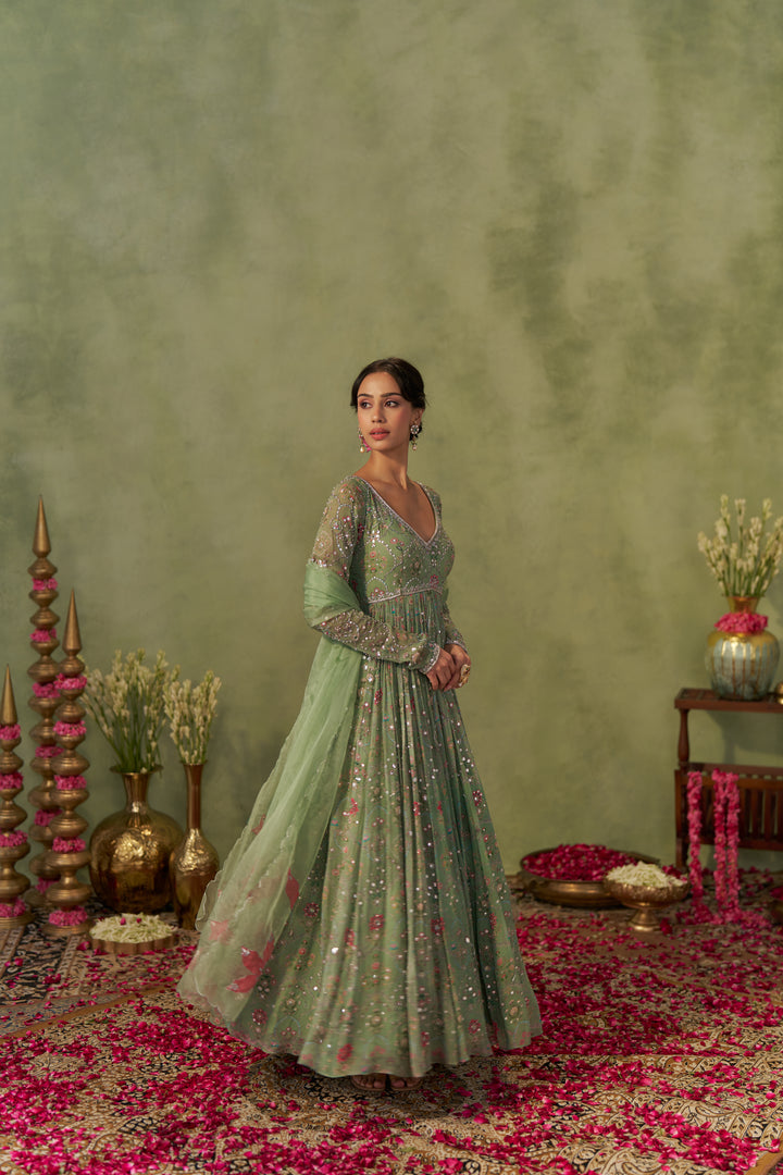 Pista Anarkali
