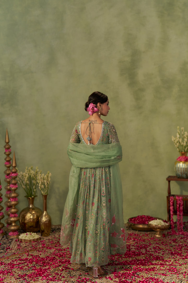 Pista Anarkali