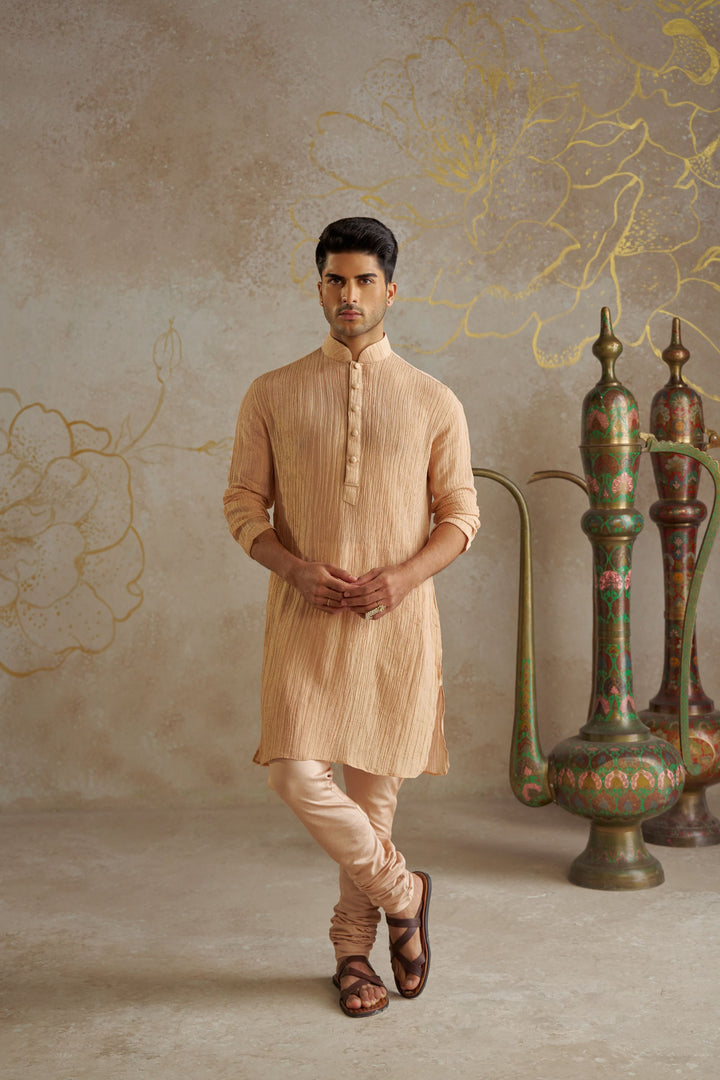 Blush Tissue Kurta Set