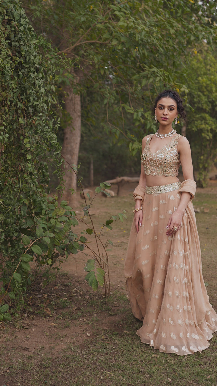 Beige Banarasi Lehenga Set