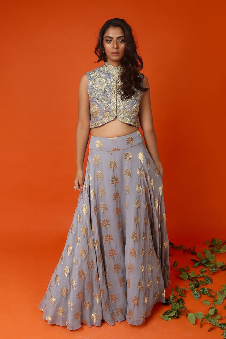 Powder Grey Jacket Blouse With Banarasi Skirt